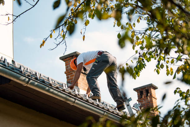 Best Storm Damage Roof Repair  in Fairlea, WV