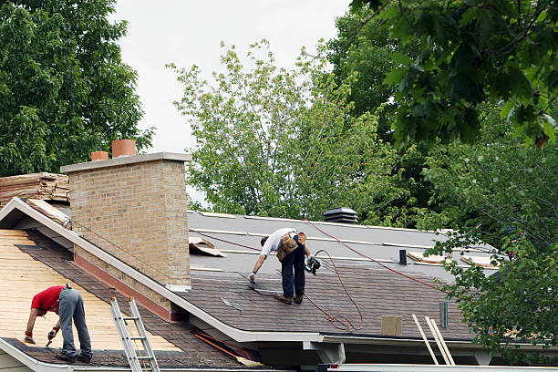 Best Roof Leak Repair  in Fairlea, WV