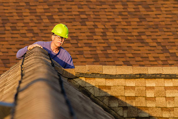 Best Roof Maintenance Services  in Fairlea, WV