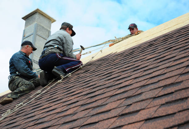 Best Residential Roof Replacement  in Fairlea, WV